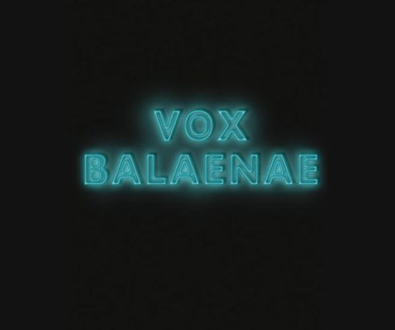 cover of VOX BALAENAE