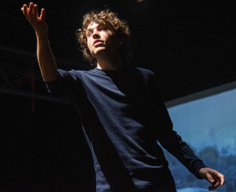 immagine di Pietro Giannini - LA TRAIETTORIA CALANTE 