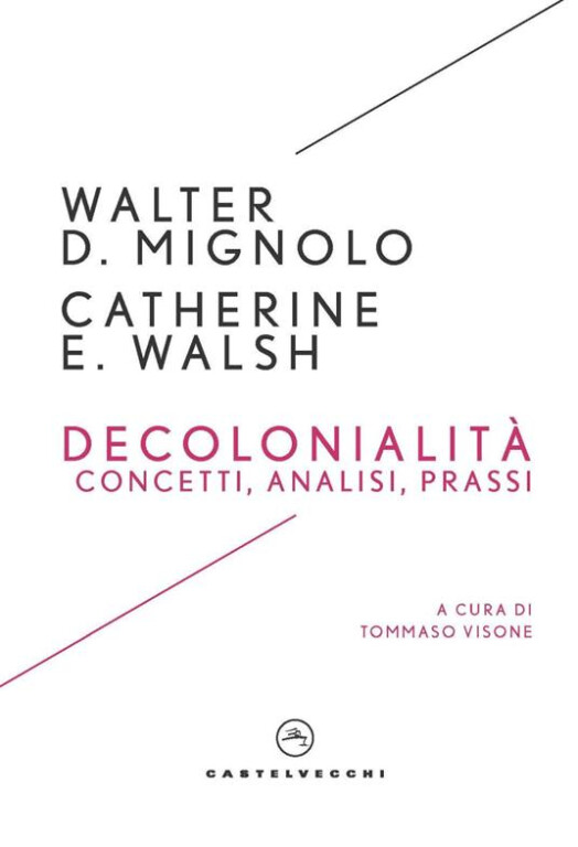 copertina di Decolonialità: concetti, analisi, prassi