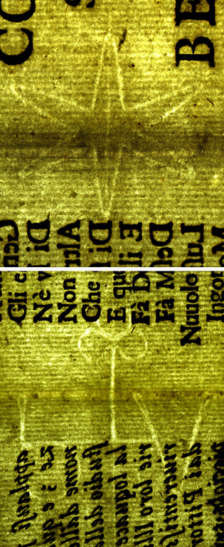image of ID. 35 stella a sei punte; bV, trifoglio