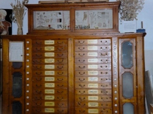 Museo didattico scientifico "Luigi Bombicci"