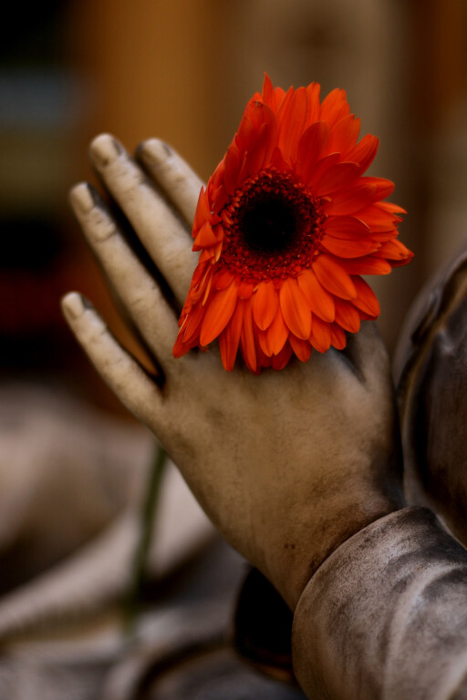 image of Virtù e sacrificio