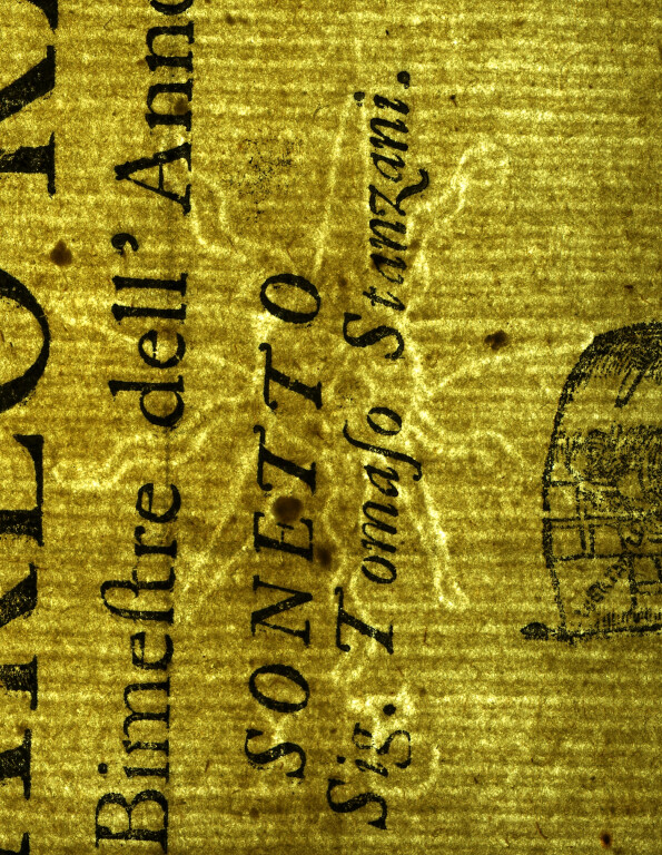 image of ID. 144 sole, IB