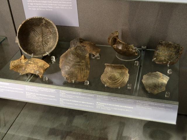 Frammenti di scodelle e vasi dalle terramare della provincia di Bologna 