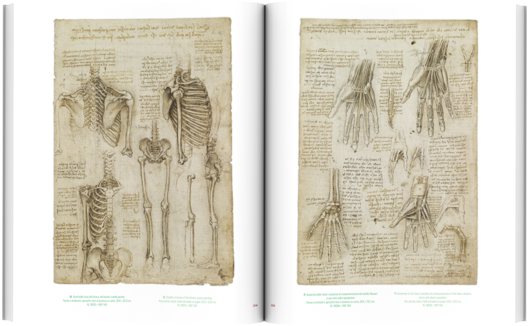 Volume Atlas Anatomicus Bookshop Spread 06