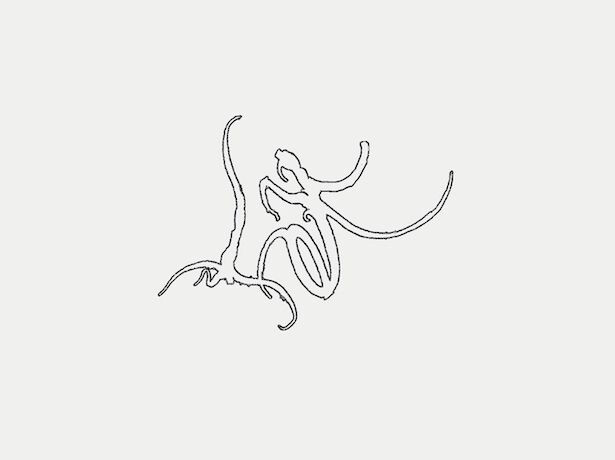 Lente Fantasma
