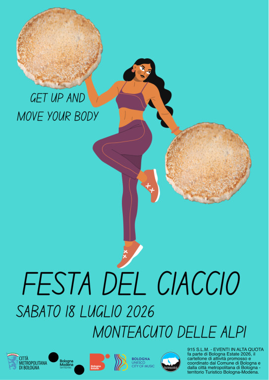 copertina di Festa del ciaccio 