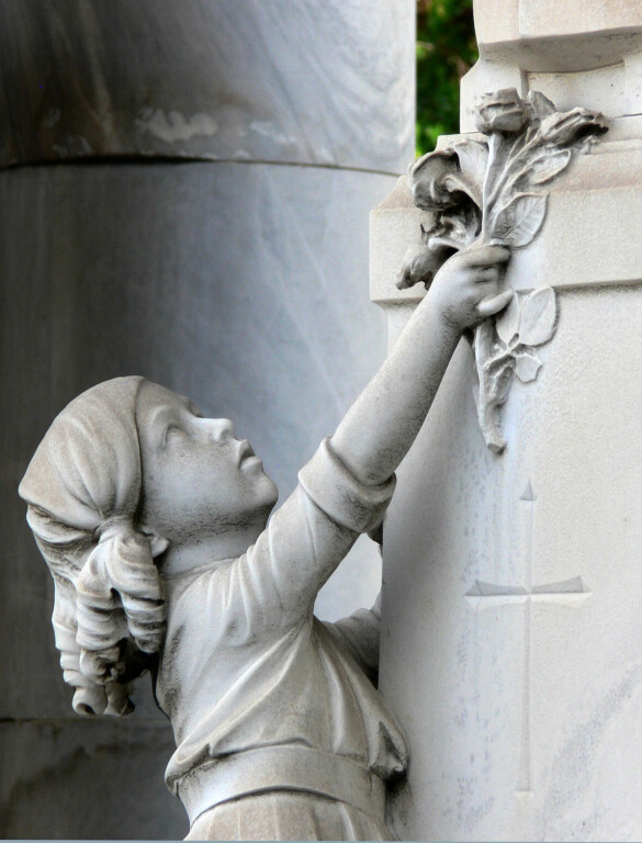 cover of Eleganti per sempre nei giardini della Certosa