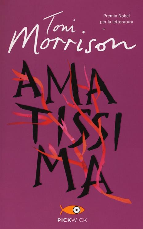 copertina di Amatissima