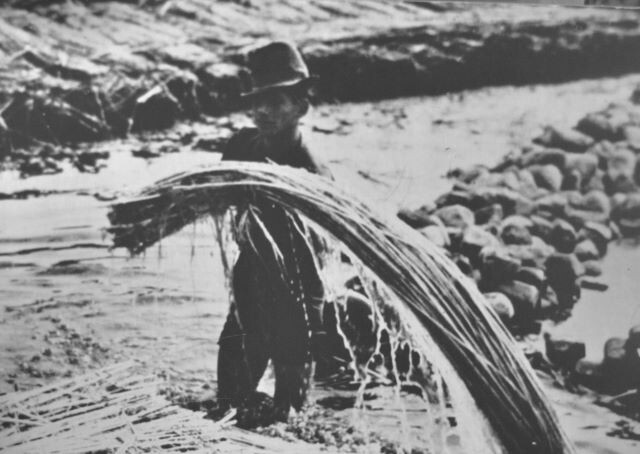 Lavorazione della canapa nel Bolognese