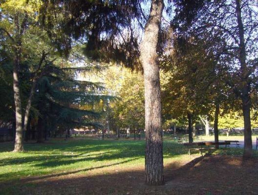 GiardiniFAVA.jpg