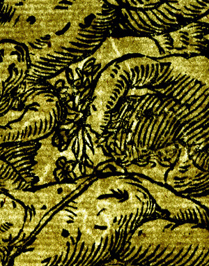 image of ID. 59 giglio