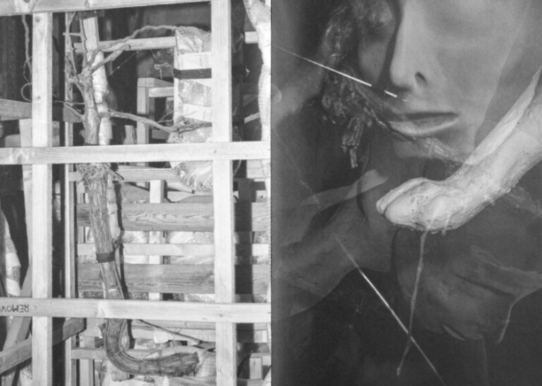 copertina di Pietraia