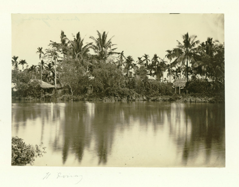 immagine di Un viaggio intorno al mondo tra i fondi della Biblioteca
