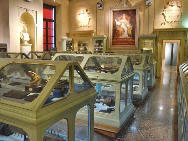 Museo di Ulisse Aldrovandi - Palazzo Poggi - via Zamboni (BO)