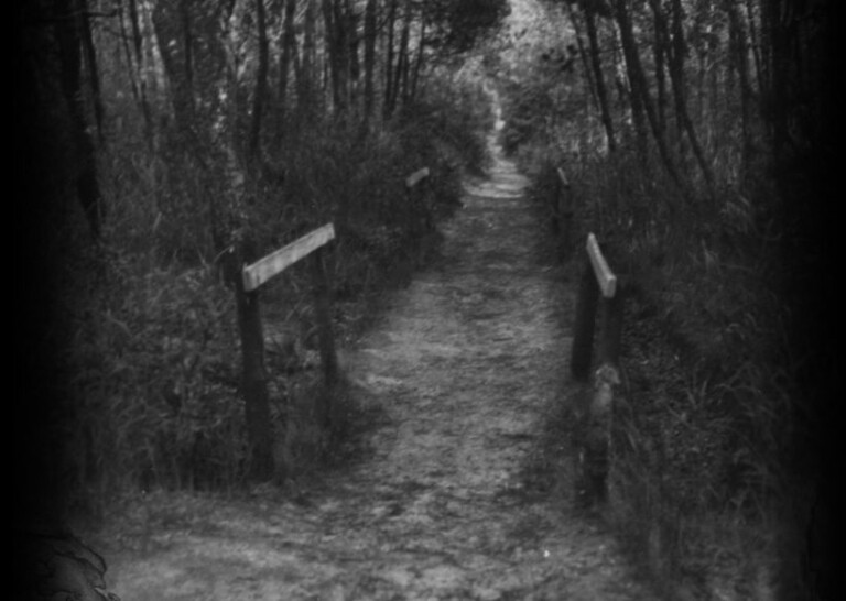 immagine di Pietro Babina. Woyzeck Solo