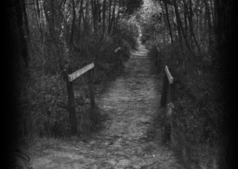 Pietro Babina. Woyzeck Solo