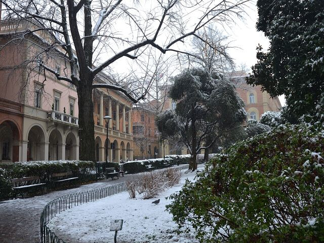 Nevicata del 6 gennaio 2026