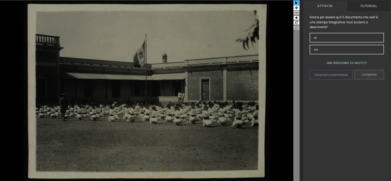 Collezioni fotografiche del colonialismo italiano (1861-1960) 