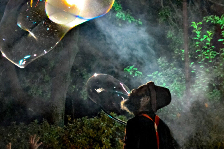 immagine di Il sogno