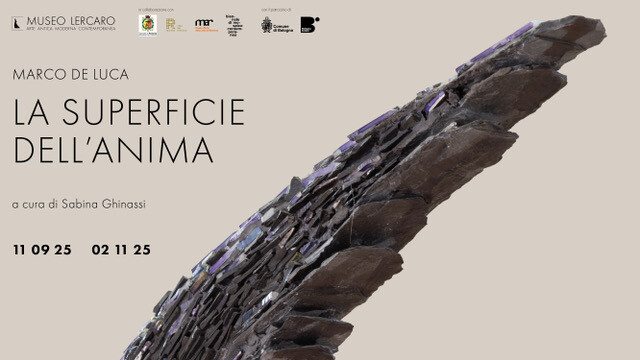 cover of La superficie dell’anima 
