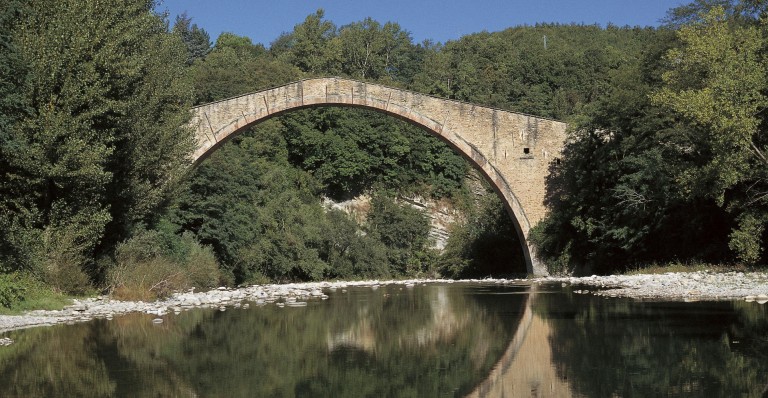 copertina di Sui monti di Castel del Rio e visita al Museo della Guerra e della Linea Gotica