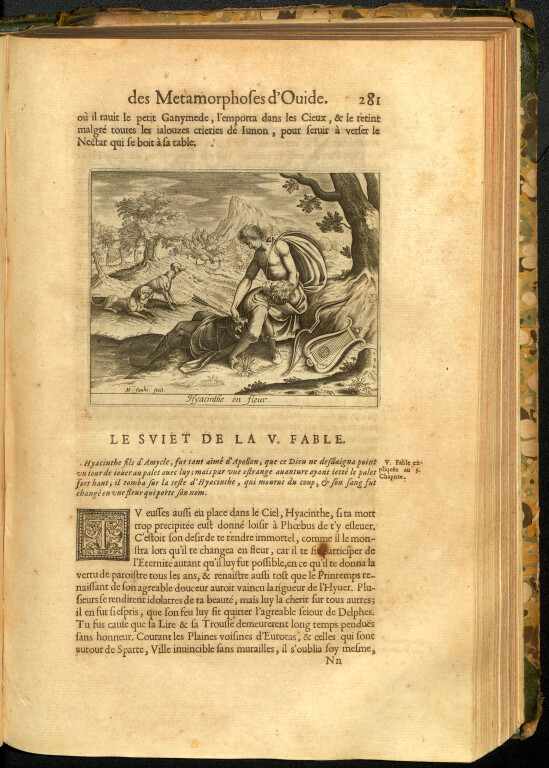 immagine di Giacinto, Apollo e Labella