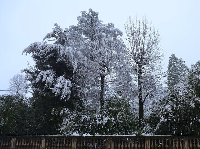 Nevicata del 6 gennaio 2026